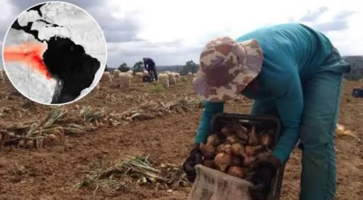 Super-El Niño: pecuária capixaba antecipa medidas contra seca e queimadas 
