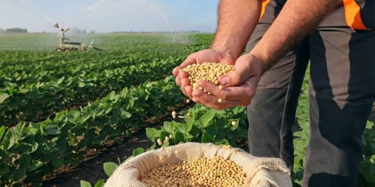Soja abre nova fronteira para o agronegócio no Espírito Santo