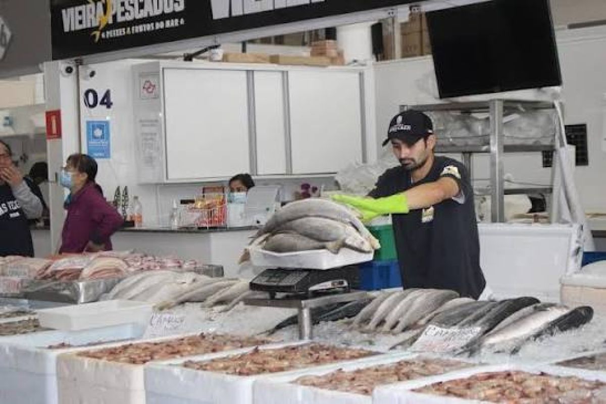 Pescado com desconto de até 30% chega a peixarias e restaurantes do ES  